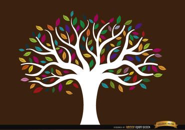 White trunk tree with colored leaves White trunk tree with colored leaves
