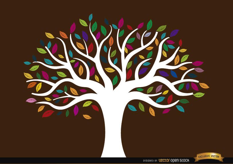 White trunk tree with colored leaves White trunk tree with colored leaves