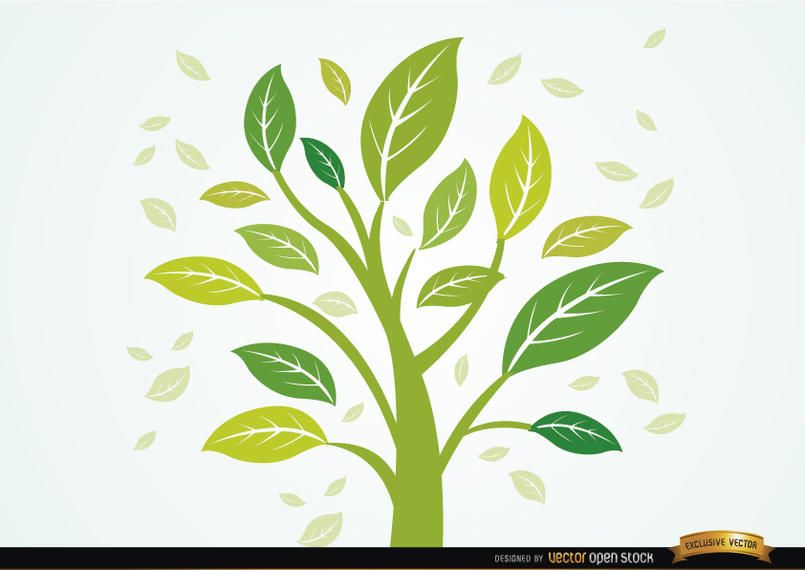 Planta com folhas ao vento Planta com folhas ao vento