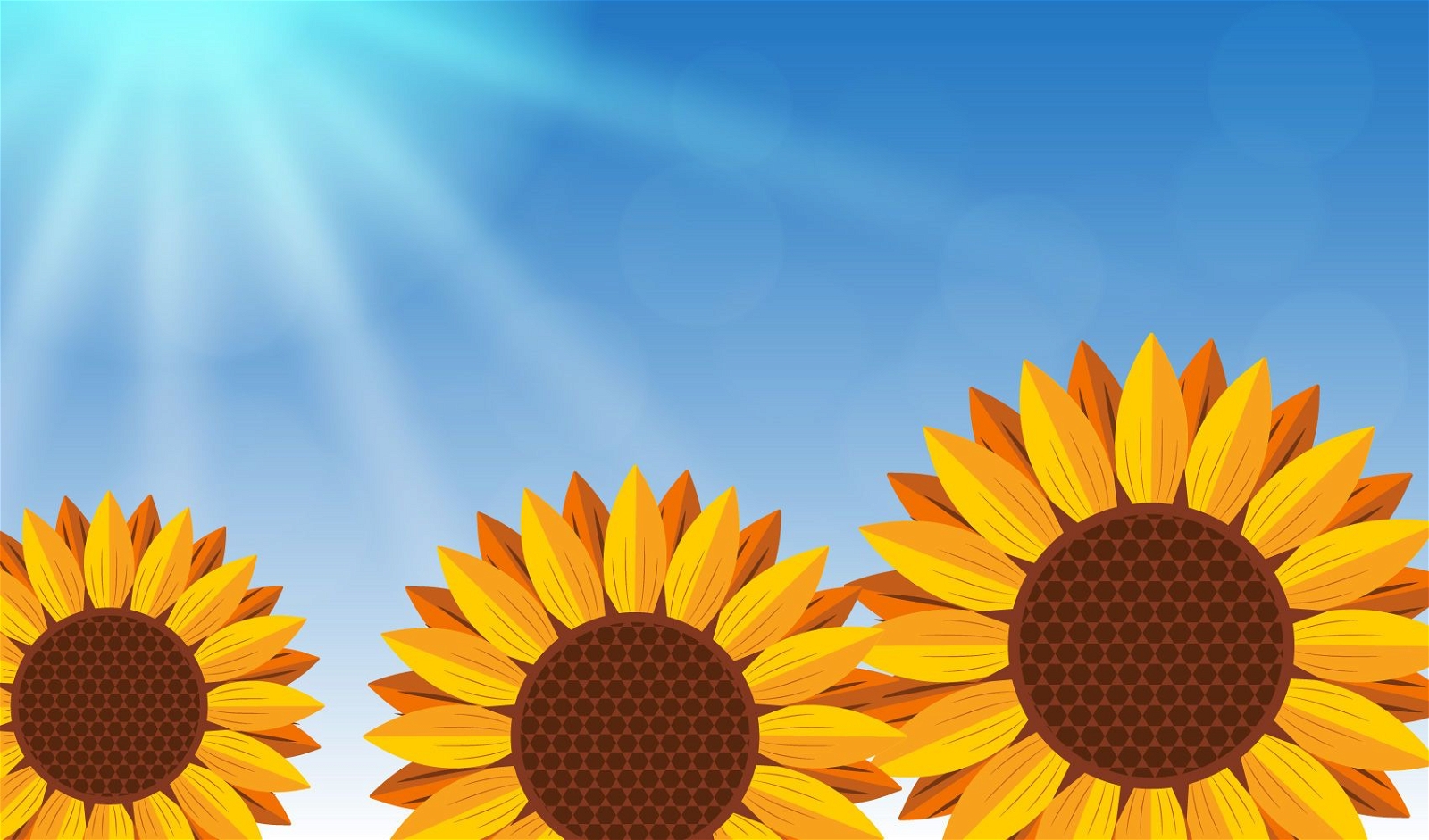 Realistic Sunflowers on Blue Background