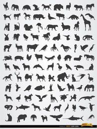Terrestrial aerial and aquatic animal silhouettes