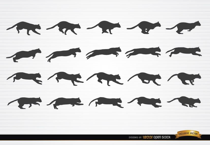 Animal gato en siluetas de movimiento Animal gato en siluetas de movimiento