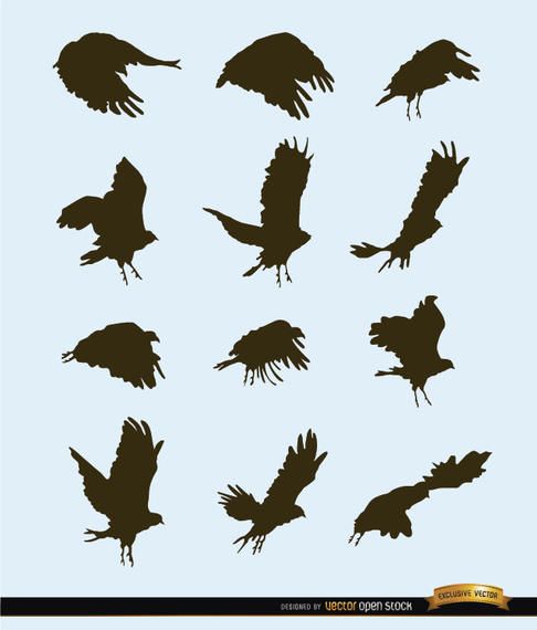 Fliegende Vogel-Bewegungsschattenbilder Fliegende Vogel-Bewegungsschattenbilder