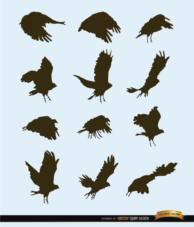 Siluetas de movimiento de aves voladoras
