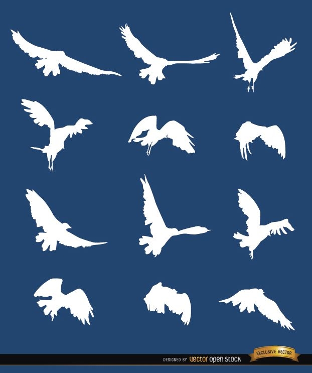 Siluetas de secuencia de aves voladoras