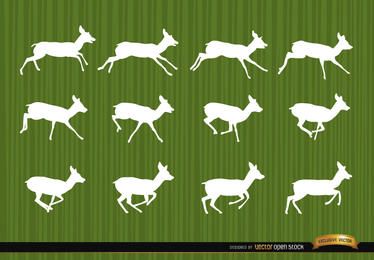 Deer Running Motion Frames Silhouetten