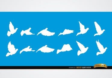 Dove flying sequence silhouettes