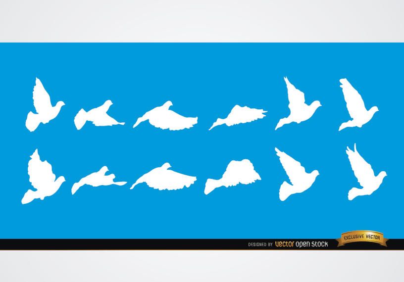 Dove flying sequence silhouettes Dove flying sequence silhouettes
