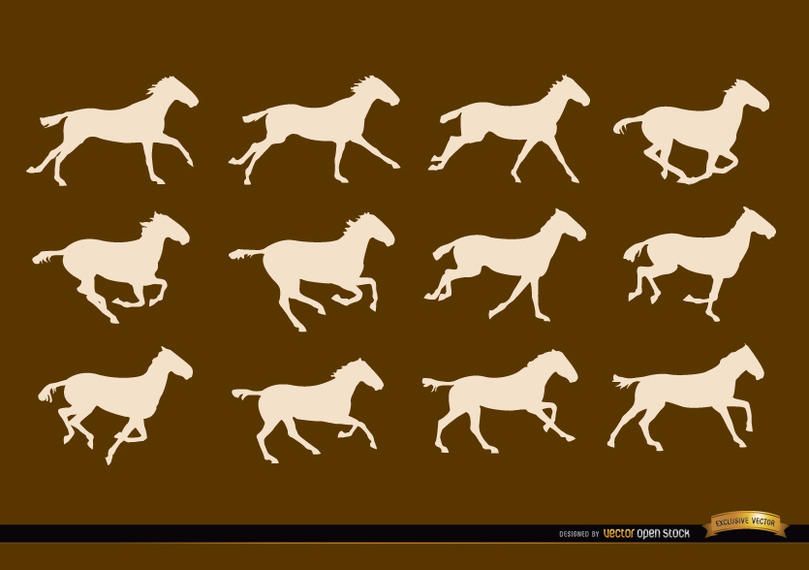 Cavalo, executando, quadros seqüência, silhuetas Cavalo, executando, quadros seqüência, silhuetas