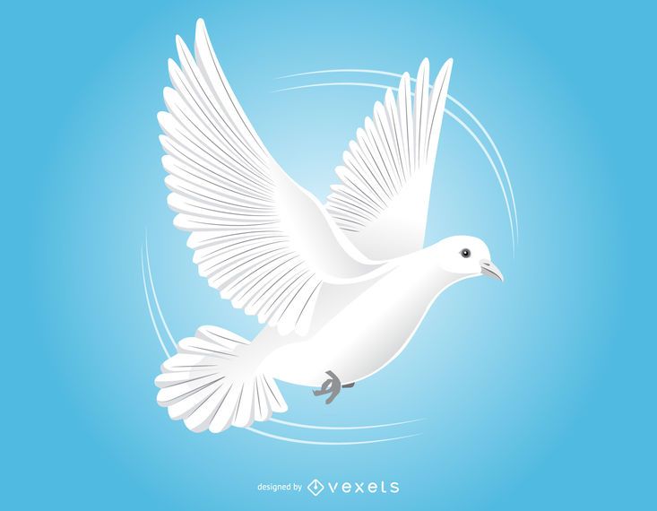 Flying Dove Black & White Sketch Flying Dove Black & White Sketch