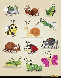 Bugs and Insect Vector Set