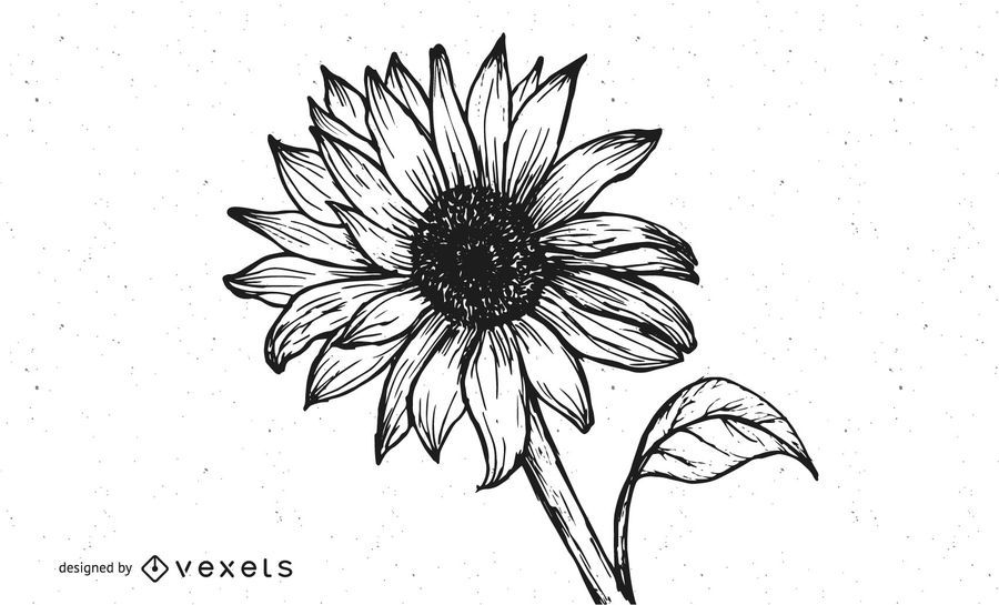 Grungy Hand Drawn Sunflower Grungy Hand Drawn Sunflower