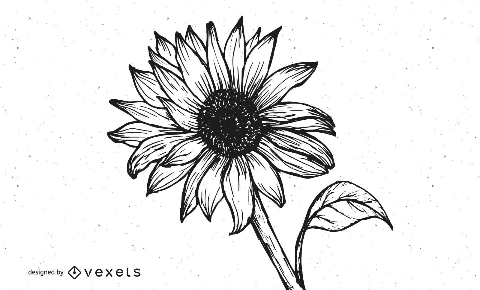 Grungy Hand Drawn Sunflower