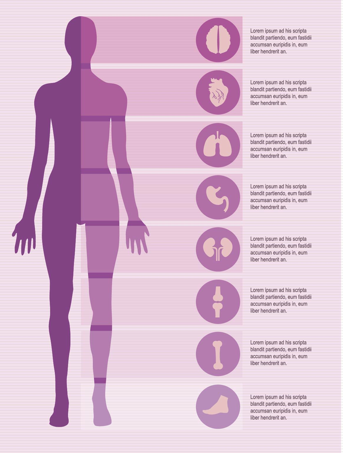 Elementos de infografías del cuerpo femenino