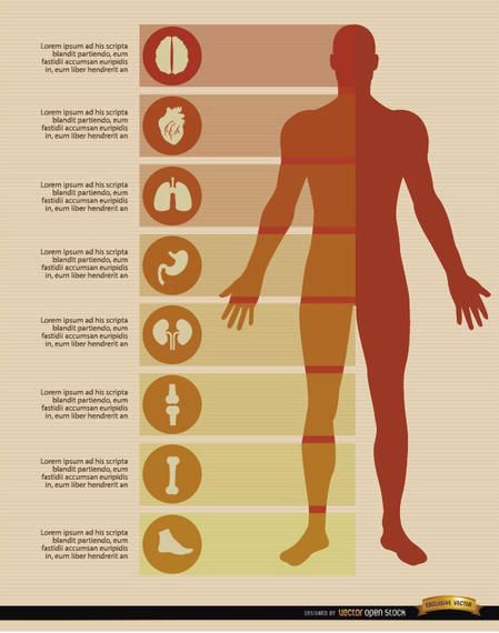 Male body infographics elements Male body infographics elements