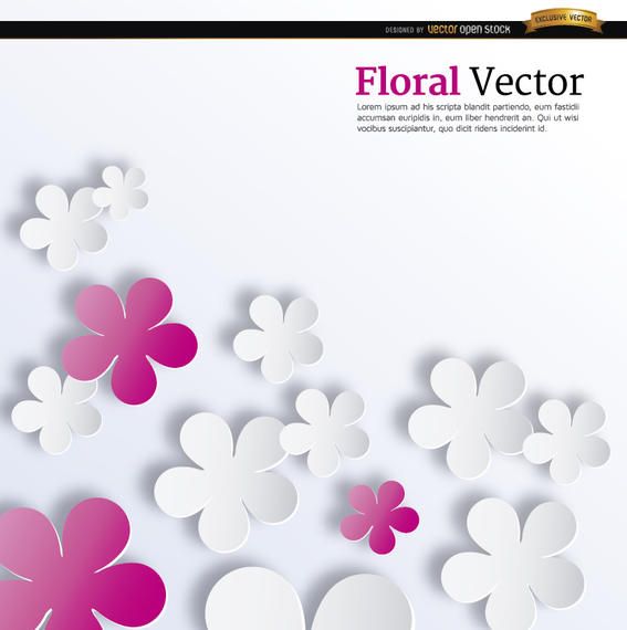 Hintergrund der rosafarbenen und weißen Blumen Hintergrund der rosafarbenen und weißen Blumen