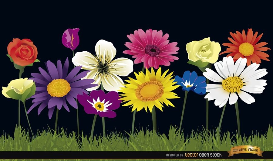 Several flowers on grass background