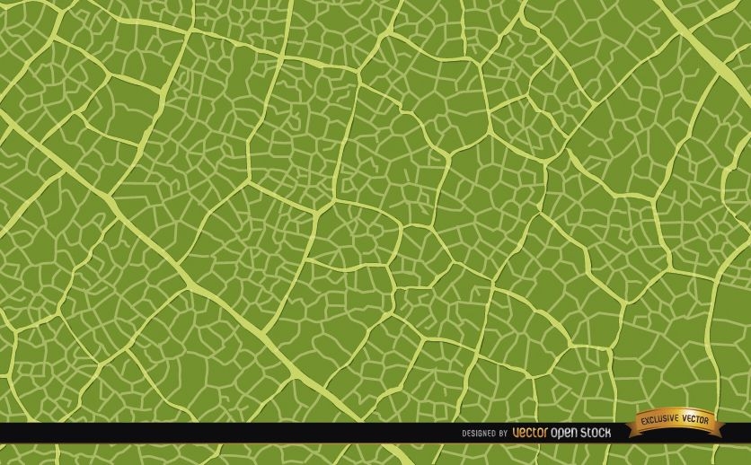 Grüner Blatt-Textur-Hintergrund