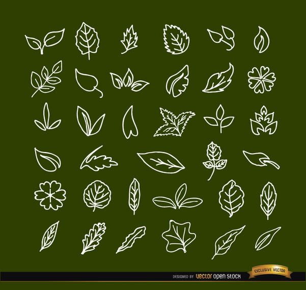 36 folhas desenhadas à mão 36 folhas desenhadas à mão