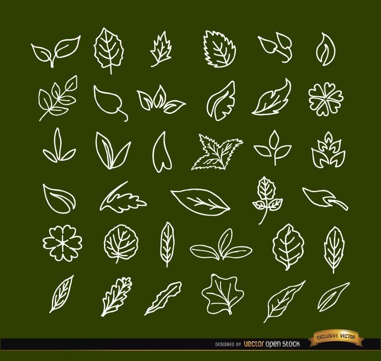 36 hand drawn leaves