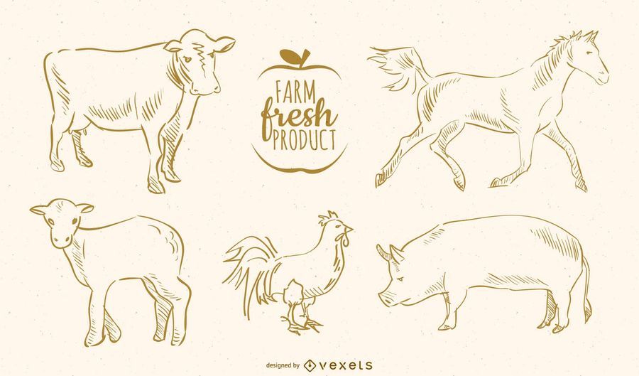 Hand Drawn Farm Animals Hand Drawn Farm Animals