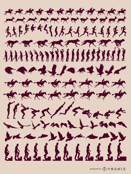 Animals human motion sequences Animals human motion sequences