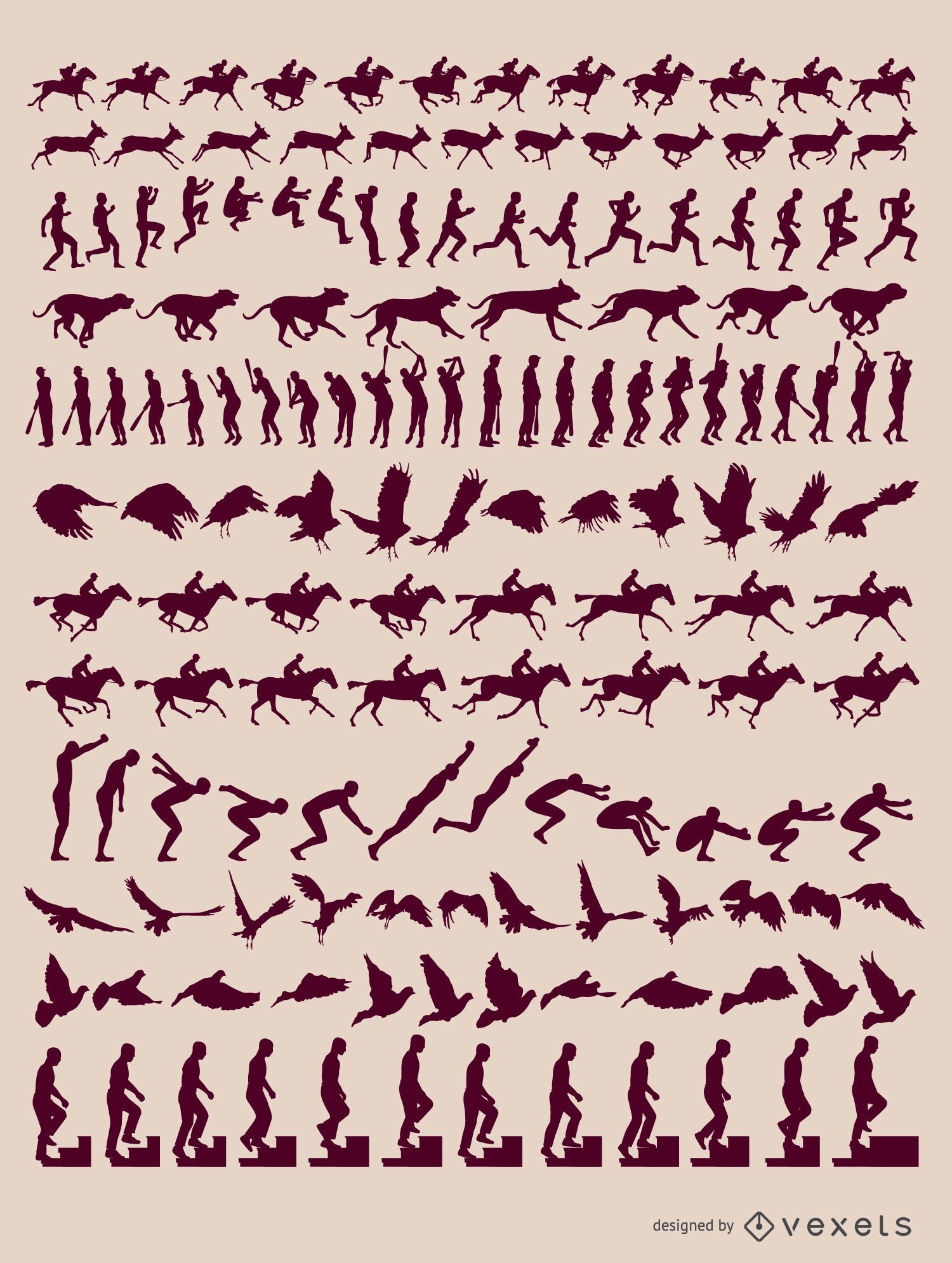 Animals human motion sequences