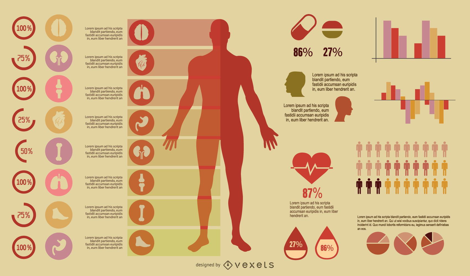 Infografía médica colorida