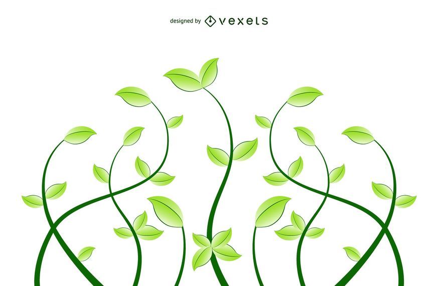 Fresh Floral Eco Plants Fresh Floral Eco Plants