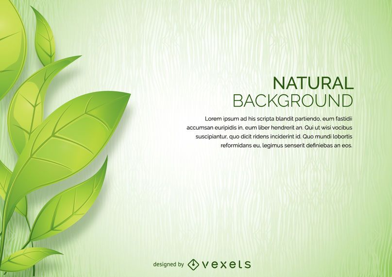 Leaves background Leaves background