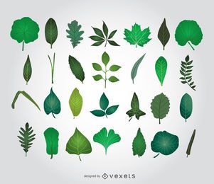 Ilustraciones de hojas verdes Ilustraciones de hojas verdes