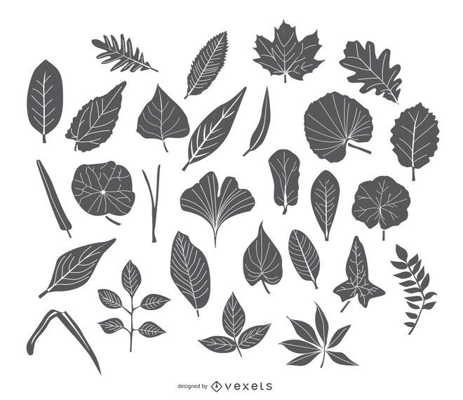 Stroke Leaves icon set Stroke Leaves icon set
