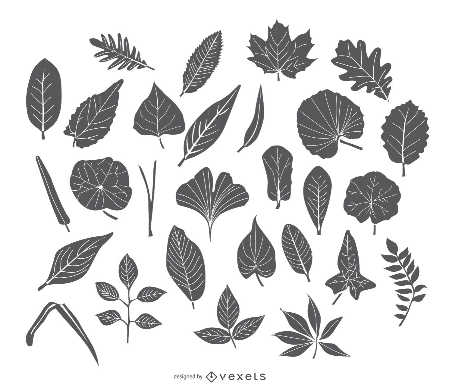Conjunto de iconos de hojas de trazo