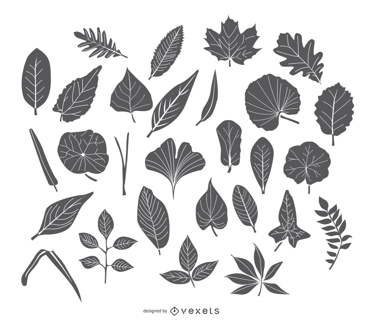 Stroke Leaves icon set 