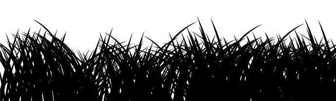 Grass Silhuoette Grass Silhuoette