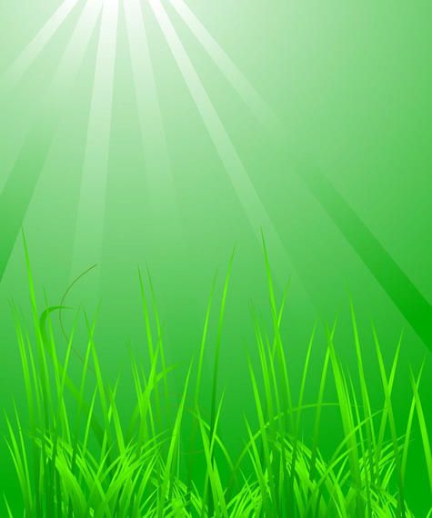 Grass with light Grass with light