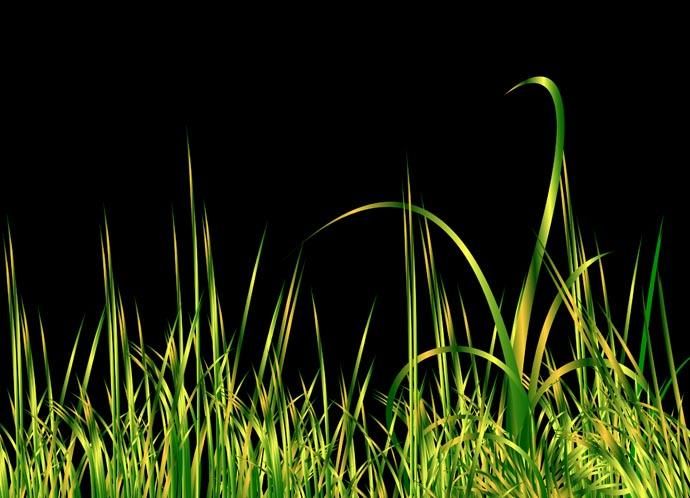 Grass black Grass black