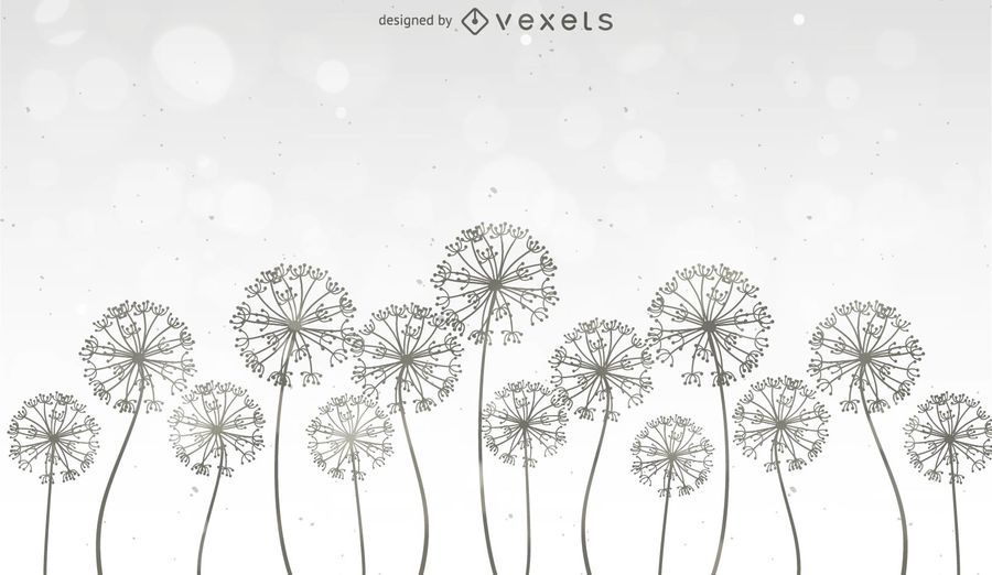 Dandelions Background Dandelions Background