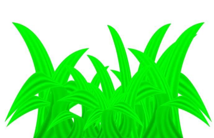 Green plant Green plant