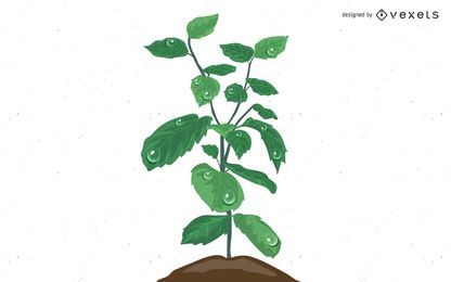 Plant Growing from Water