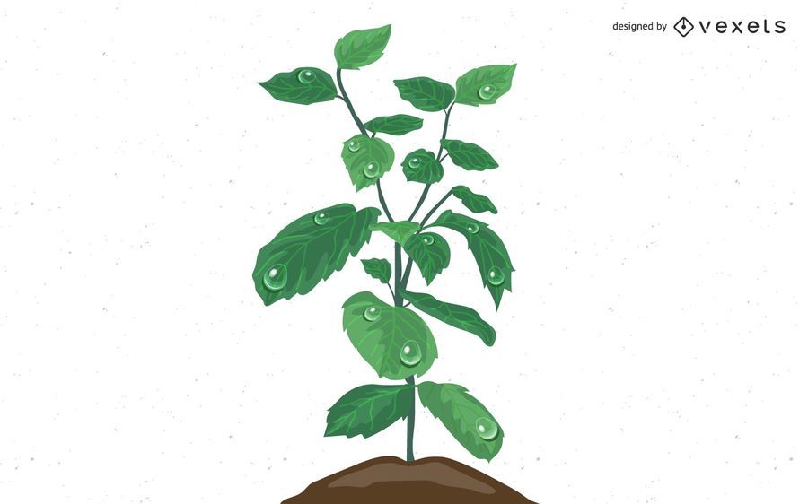 Planta que crece del agua Planta que crece del agua