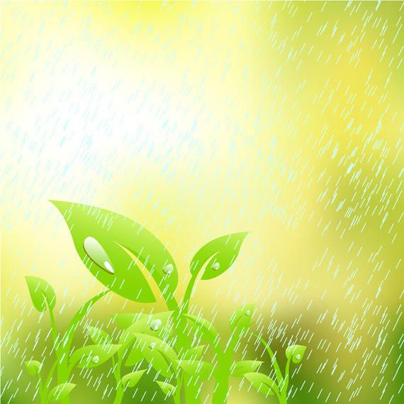 Vector Leaves Vector Leaves