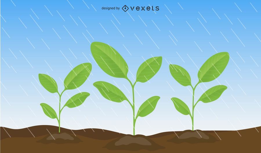 Vector Leaves Vector Leaves