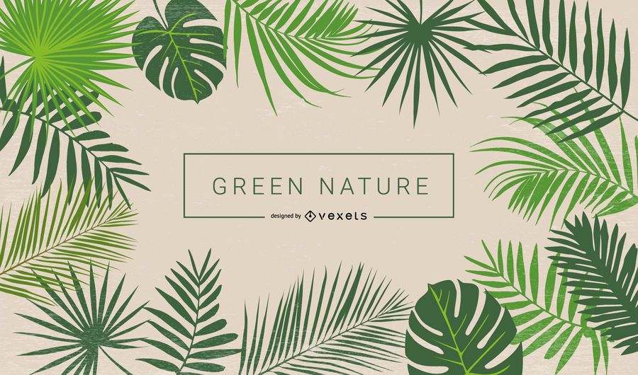 Green foliage Green foliage
