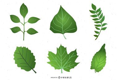 Small leaves Vector Graphics to download