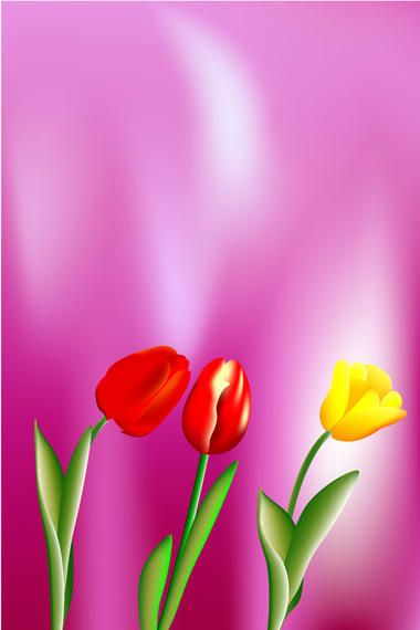 Beautiful vector tulips Beautiful vector tulips