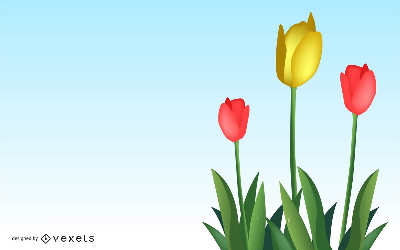 Tulipanes hermosos vector