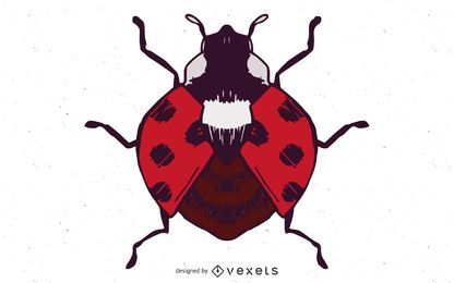 Ladybug Vector Illustration