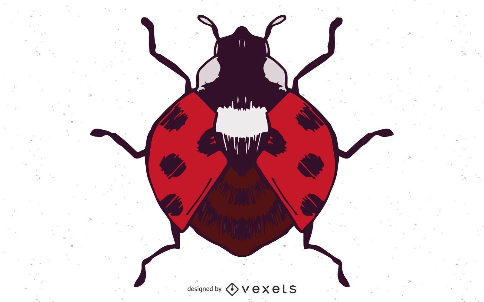 Ladybug Vector Illustration