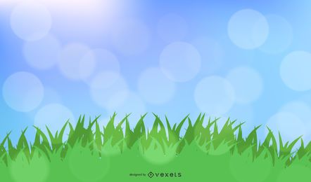 Fundo bokeh de verão